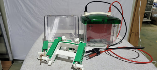 Used Biorad Mini Protean Tetra Cell With Trans-Blot Module