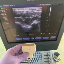 Load image into Gallery viewer, Used Siemens Acuson X300 Ultrasound With Linear Probe
