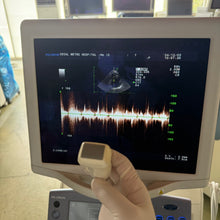 Load image into Gallery viewer, Used Aloka Prosound Alpha7 Ultrasound with Convex Cardiac Linear 3 Probes Transducer