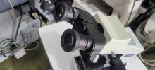 Load image into Gallery viewer, Used Olympus CX21 Binocular Microscope 4X 10X 40X 100X