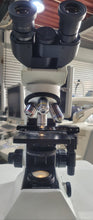 Load image into Gallery viewer, Used Olympus CX21 Microscope 4X 10X 40X 100X