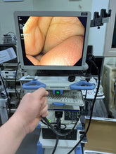 Load image into Gallery viewer, Sale For Olympus GIF H170 Gastroscope