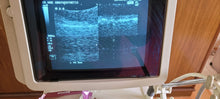 Load image into Gallery viewer, Worldwide Selling on Used Logiq 200 MD Pro Convex 3CB with Vaginal MTZ Two Probe Ultrasound Unit
