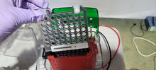 Load image into Gallery viewer, Worldwide Sell Used Biorad Mini Protean Tetra Cell With Trans-Blot Module
