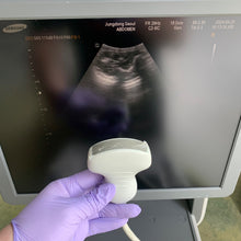 Load image into Gallery viewer, Worldwide Sell Used Samsung Medison EKO7 With Linear Cardiac and Convex 3Probes
