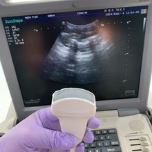 Load image into Gallery viewer, Worldwide Sell Used Sonoscape S6V Portable VET Ultrasound Convex Probe Medical Equipment
