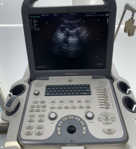 Used Sonoscape S6V Portable VET Ultrasound Convex Probe

