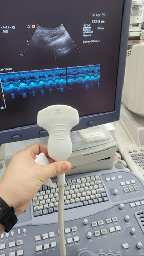 Used Siemens Acuson C41 convex probe transducer Ultrasound Sequoia 512